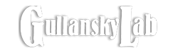 GULLANSKY LAB
