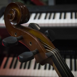 Strumenti a Corda Usati