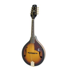 Altri Strumenti a Corda