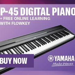 Digital Stage Pianos - Stage PIano