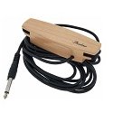 Pickup Magnetici per Acustica