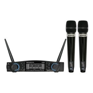 Microfoni Wireless Palmari