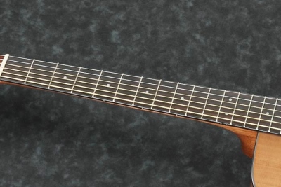 Ibanez AW5412CE Open Pore Natural