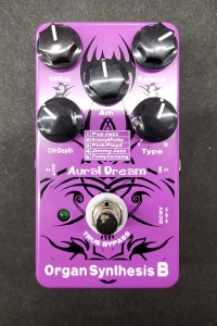 AURAL DREAM ORGAN SYNTHESIS B USATO