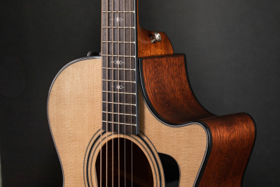 Taylor 312Ce Chitarra Acustica