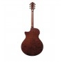 Ibanez AE325LGS Natural Low Gloss