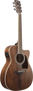 Ibanez AC340CEOPN Natural Open Pore