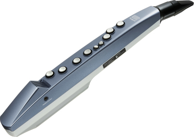 Roland Ae01 Aerophone Mini