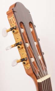 Raimundo 630 Spruce 