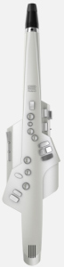 Roland Ae10G Aerophone