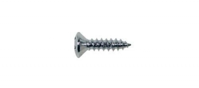 Boston Ts01C Viti Cromate Auofilettanti Set 12Pz Per Battipenna