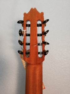 Ibanez G208Cwc-Nt Chitarra Acustica 8 Corde Ex Demo