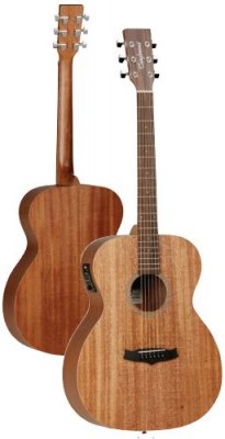 Tanglewood Winterleaf Tw2E