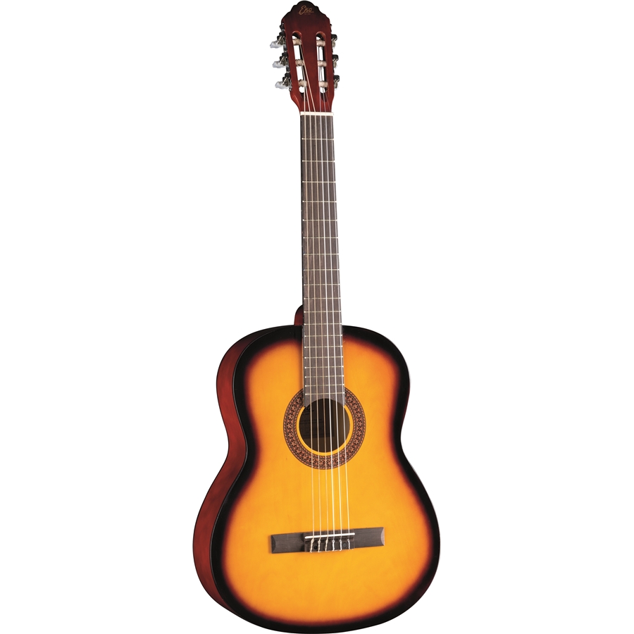 Eko Guitars CS-10 Sunburst+ Bag in Omaggio