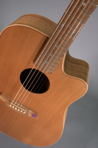 Cole Clark Fat Lady 2 Cutway