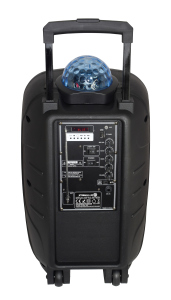 Karma Diffusore Amplificato con Radiomicrofono ed Effetto Luce 600W