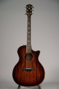 Taylor Custom Ga Mahogany #41