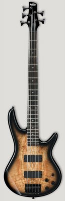 Ibanez Gsr205Sm-Ntg 5C Natural Grey Burst