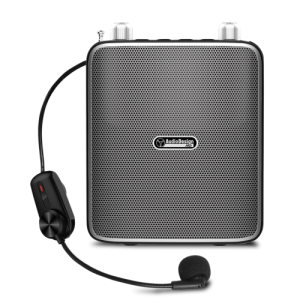 Audiodesign Amplificatore per Voce Multifunzionale 40W