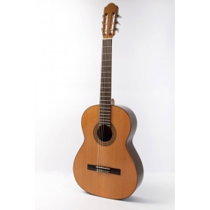 Raimundo 118 Spruce 