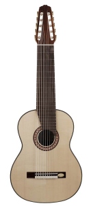 Salvador Cortez Cs60-10 Chitarra Classica 10 Corde