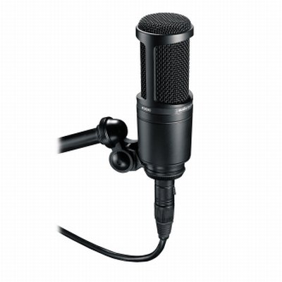 Audio Technica At2020 Microfono A Condensatore