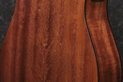 Ibanez AW5412CE Open Pore Natural