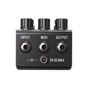 Jackson Audio Bloom V2 Midi Black Compressore