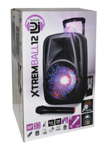 Karma Diffusore Amplificato con Radiomicrofono ed Effetto Luce 600W