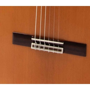 Raimundo 129 Cocobolo Cedar 