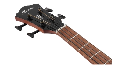Ibanez Basso Acustico Elettrificato Black