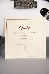 Fender American Performer Stratocaster Artic White