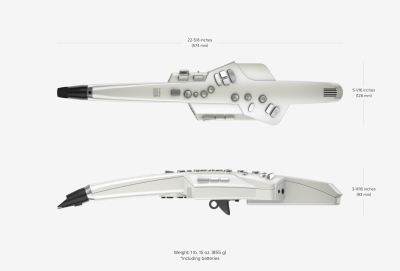 Roland Ae10G Aerophone