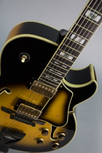Ibanez Lgb300Vys Chitarra Semiacustica Vintage Yellow Sunburst  con Astuccio