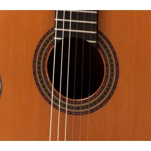 Raimundo 129 Cocobolo Cedar 