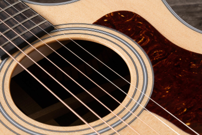 Taylor 414Ce-R Rosewood