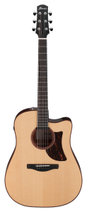 Ibanez AAD300CE Natural Low Gloss