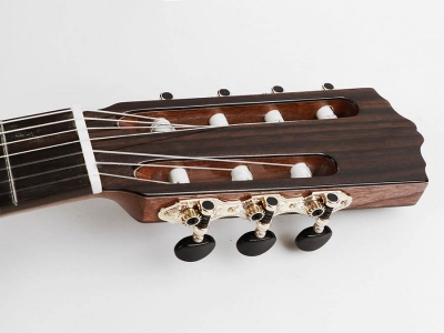 Salvador Cortez Cs60-7 Chitarra Classica 7 Corde