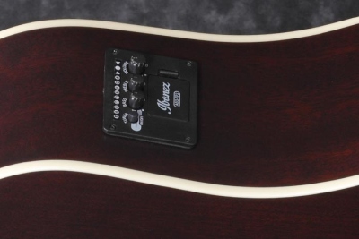 Ibanez AW5412CE Open Pore Natural