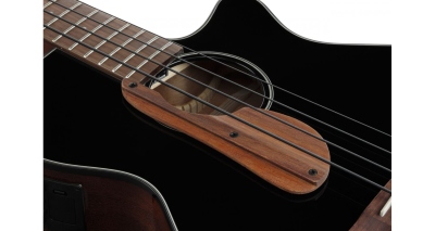 Ibanez Basso Acustico Elettrificato Black