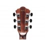 Ibanez AE325LGS Natural Low Gloss
