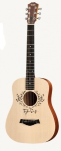 TAYLOR TSBT-E