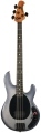 Musicman Darkray Starry Night 4