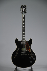 D'Angelico PREMIER DC Black Flake