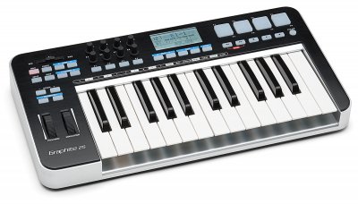 Samson Graphite 25