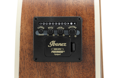 Ibanez AC340CEOPN Natural Open Pore