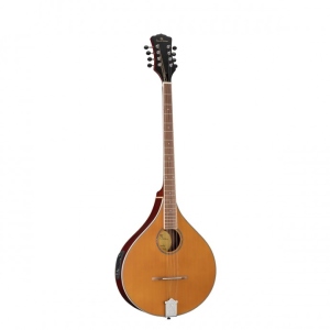 Soundsation Bouzouki Irlandese Elettrificato con Borsa