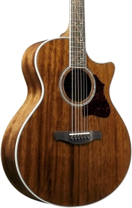 Ibanez AE245NT Chitarra Acustica Elettrificata Natural Open Pore