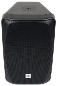Topp Pro WRS5 Diffusore Passivo Nero