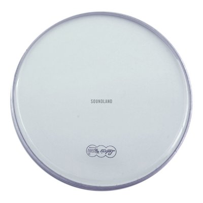 Ludwig Pelle Resonant Snare 14